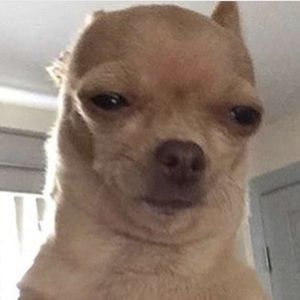 Meet your Posher, Bryan